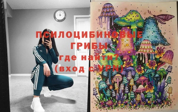 дживик Балахна