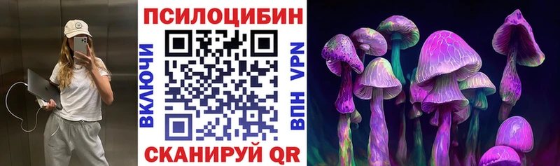 Псилоцибиновые грибы Psilocybe Кулебаки